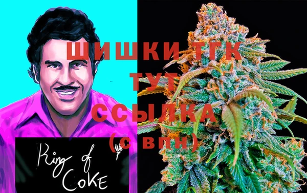 амф Абаза