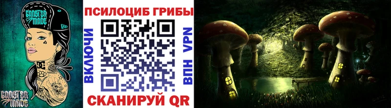 omg ссылки  даркнет сайт  Чкаловск  Псилоцибиновые грибы MAGIC MUSHROOMS 